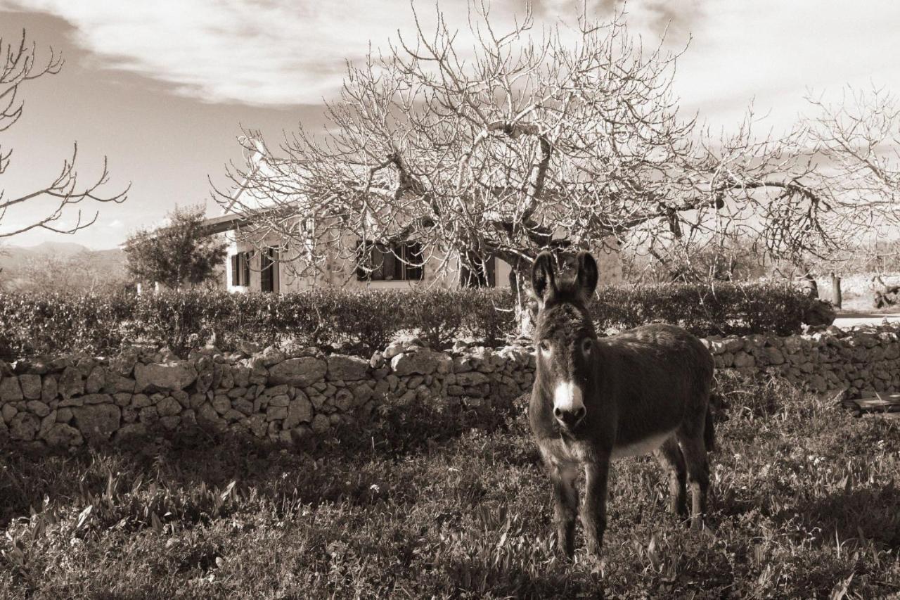 155 Finca Son Rossignol By Mallorca Charme Сінеу Екстер'єр фото